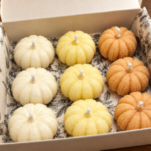 Caja de 9 velas de soja mini calabazas